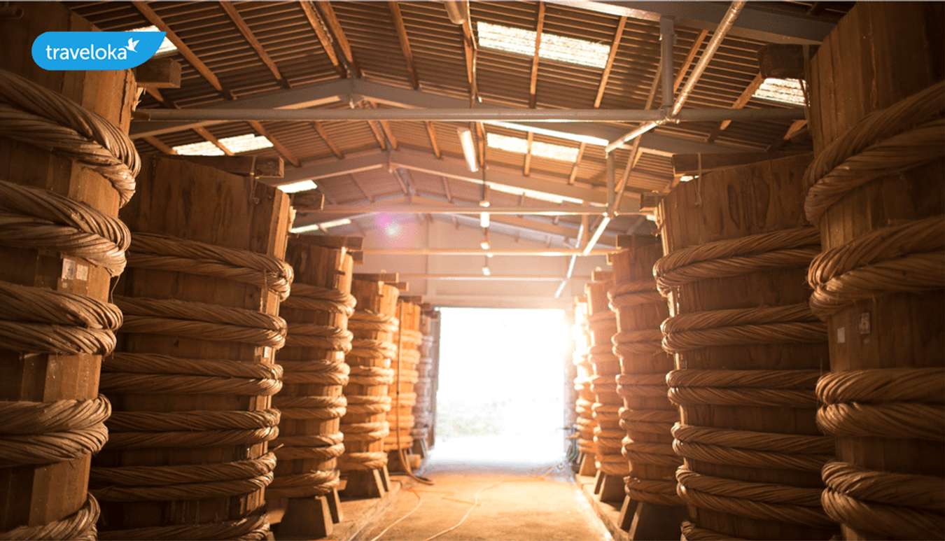 Kinh nghiệm du lịch Phú Quốc tất tần tật trãi nghiệm hưởng thụ tốt nhất 21 Khám phá đảo ngọc với tuyển tập kinh nghiệm đi Phú Quốc từ A - Z