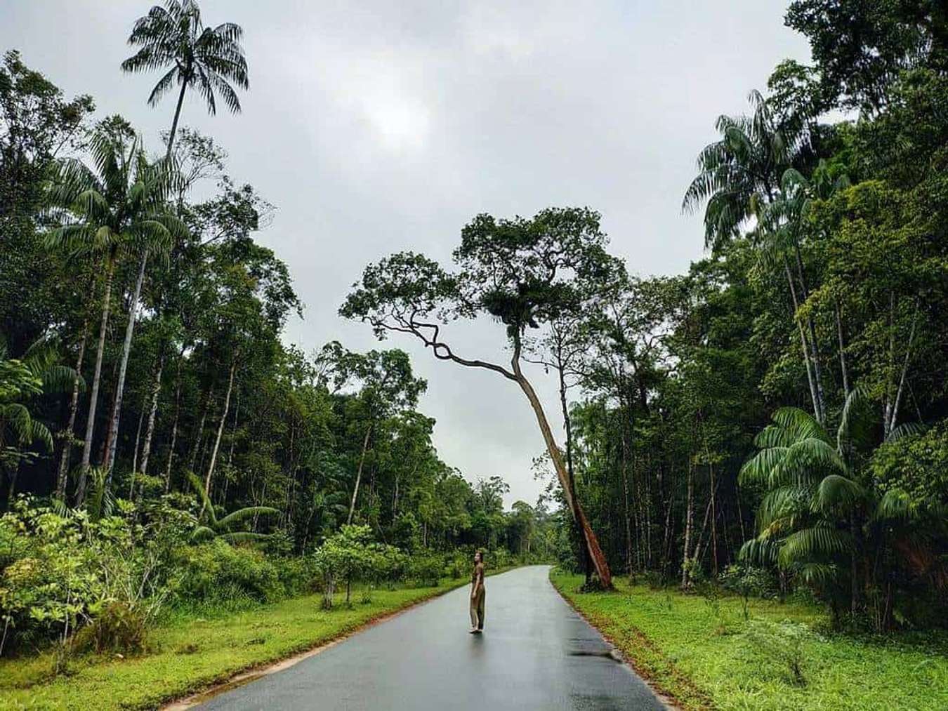 Kinh nghiệm du lịch Phú Quốc tất tần tật trãi nghiệm hưởng thụ tốt nhất 26 Khám phá đảo ngọc với tuyển tập kinh nghiệm đi Phú Quốc từ A - Z