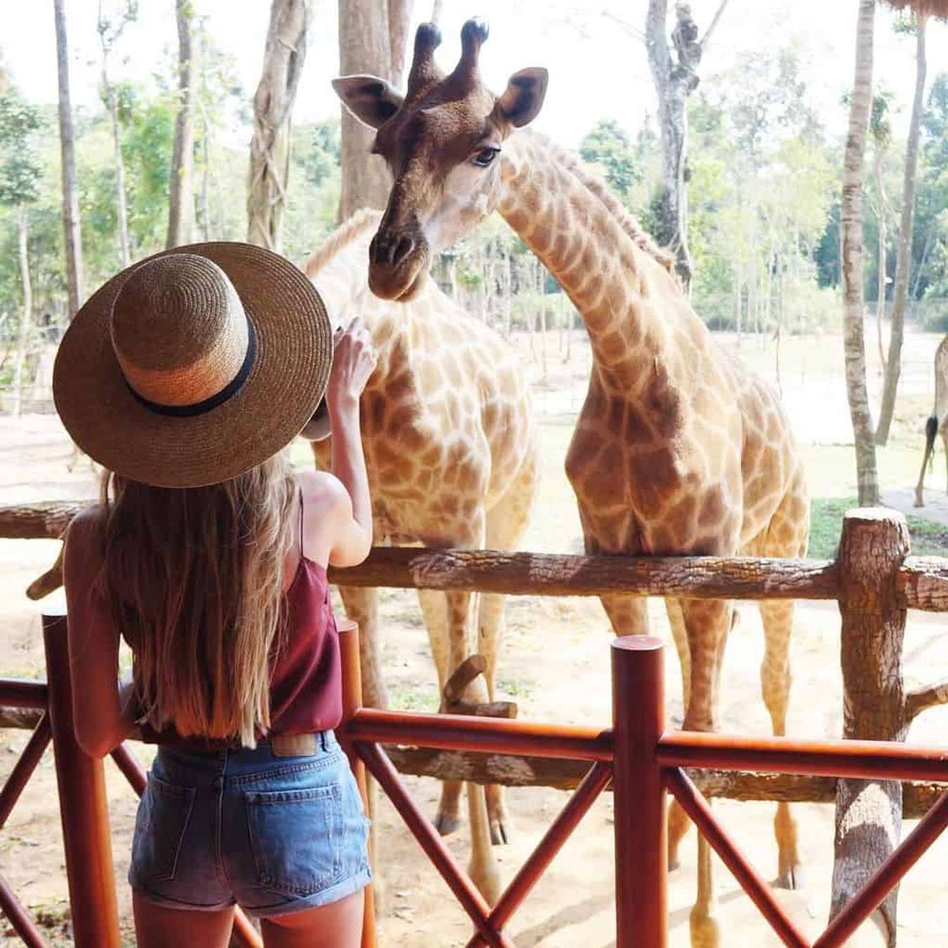 Kinh nghiệm du lịch Phú Quốc tất tần tật trãi nghiệm hưởng thụ tốt nhất 31 Khám phá đảo ngọc với tuyển tập kinh nghiệm đi Phú Quốc từ A - Z