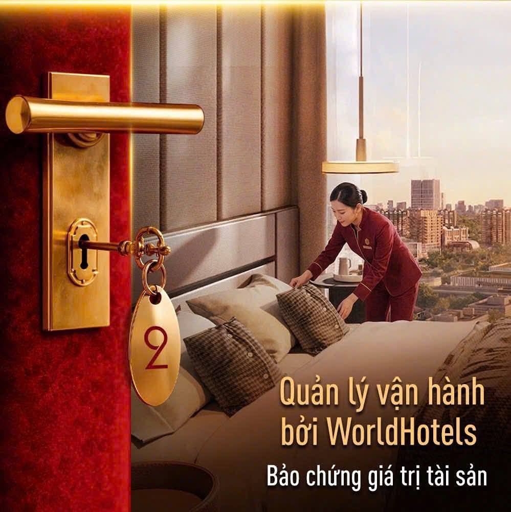 Giải Mã Sức Hút Đầu Tư Toà Tháp Branded Residence Lusso Saigon | BTCLAND 3 669594073 122167618160685824 7412188158573480820 n